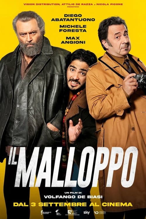 Il malloppo poster