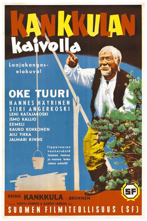 Kankkulan kaivolla poster