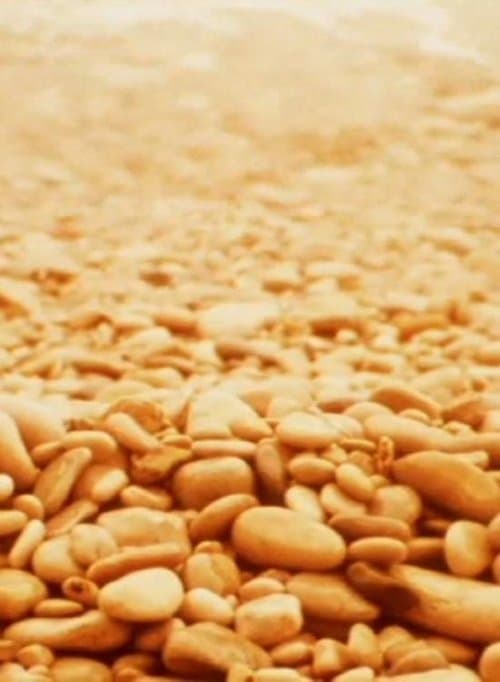 Notes for Jerome poster