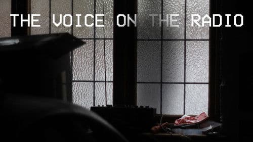 The Voice on The Radio poster