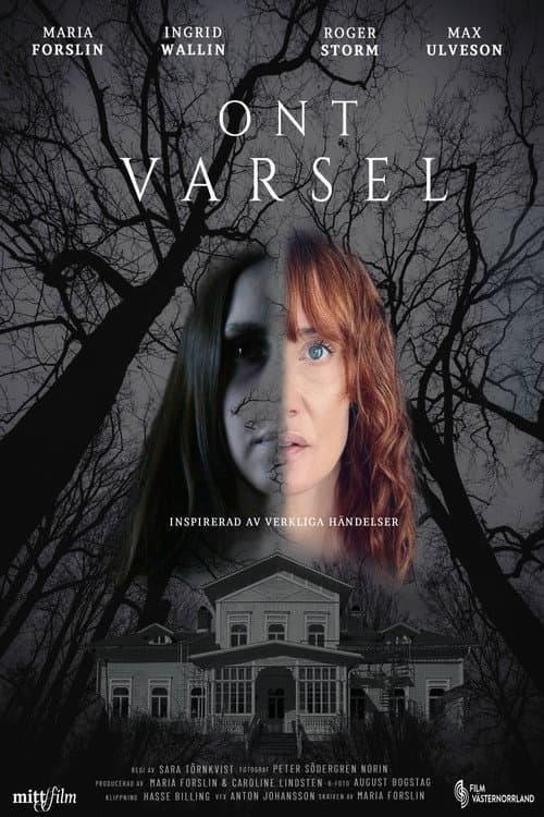 The Dark Inheritance poster