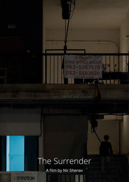 The Surrender poster