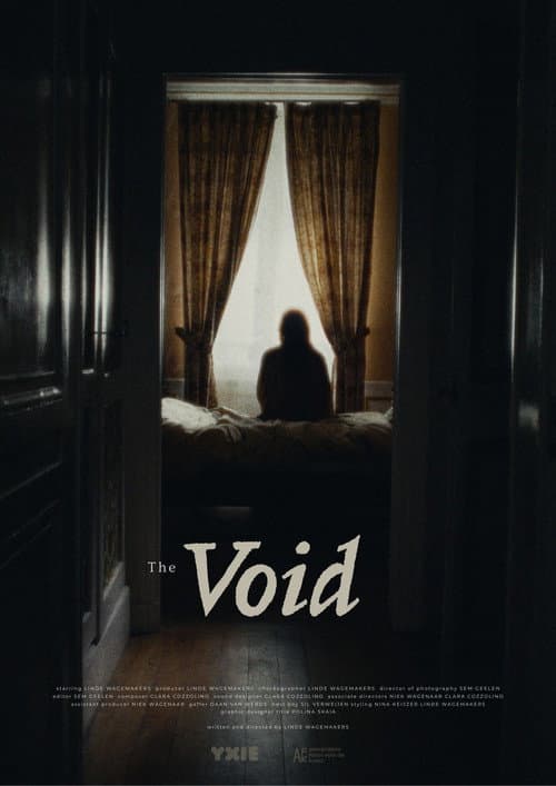 The Void poster