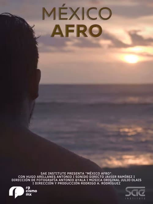 México Afro poster