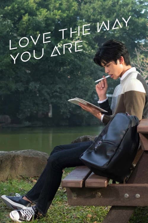 Love The Way You Are poster