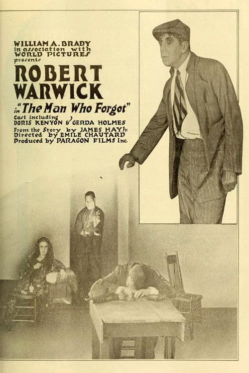 The Man Who Forgot poster