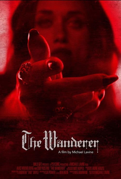 The Wanderer poster