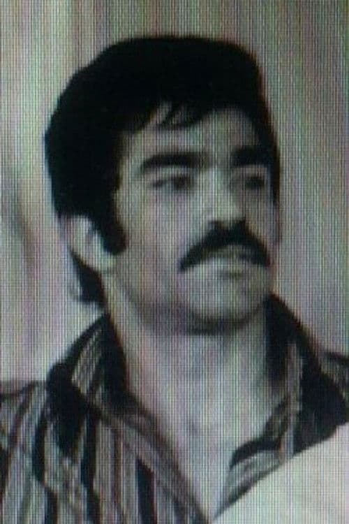 Dadashi profile photo