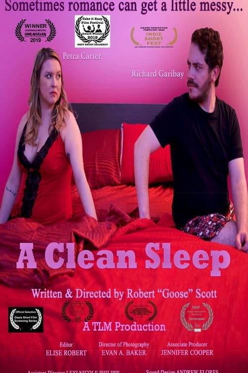 A Clean Sleep poster
