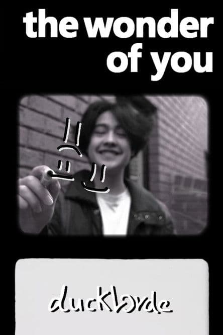 The Wonder of You poster