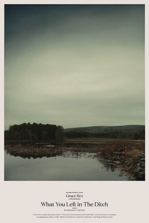 What You Left in the Ditch poster