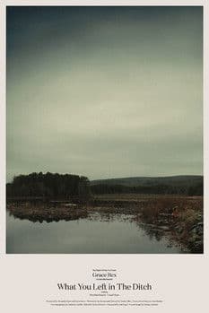 What You Left in the Ditch poster