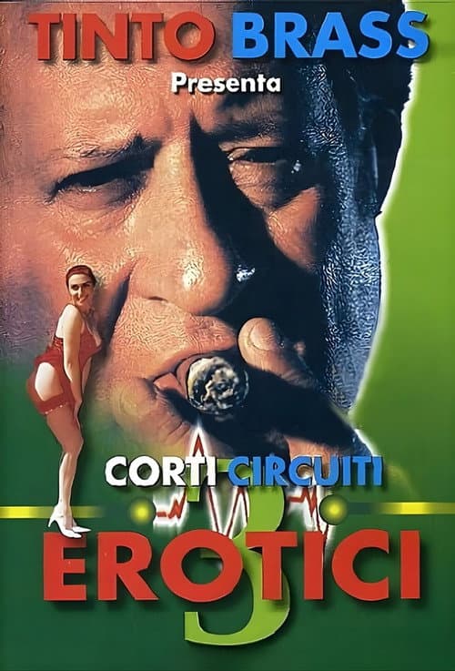 Erotic Short Circuits Vol.3 poster