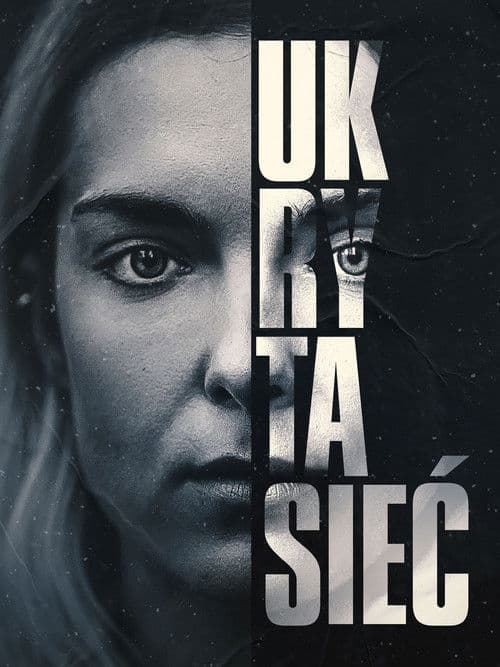 The Hidden Web poster