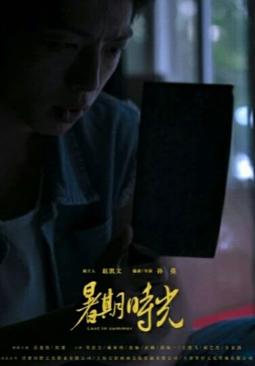 Lost in Summer poster