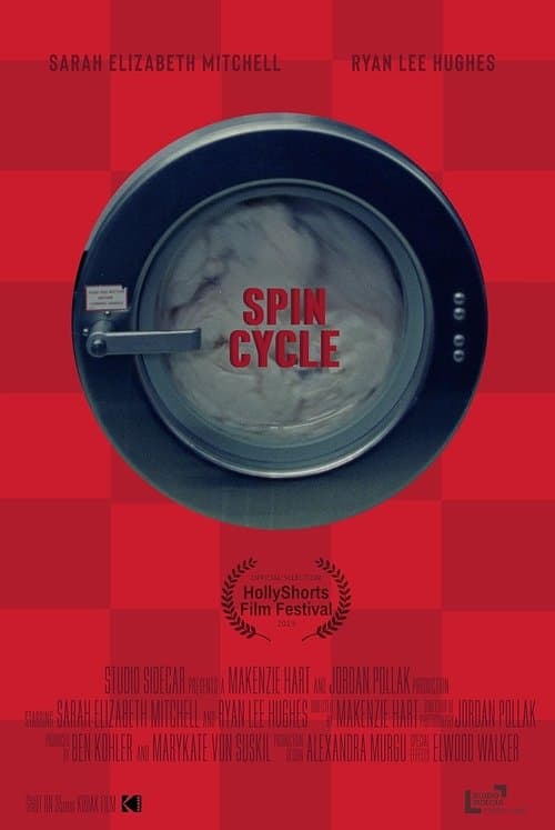 Spin Cycle poster