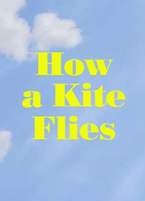 How a Kite Flies poster