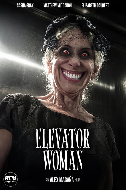 Elevator Woman poster