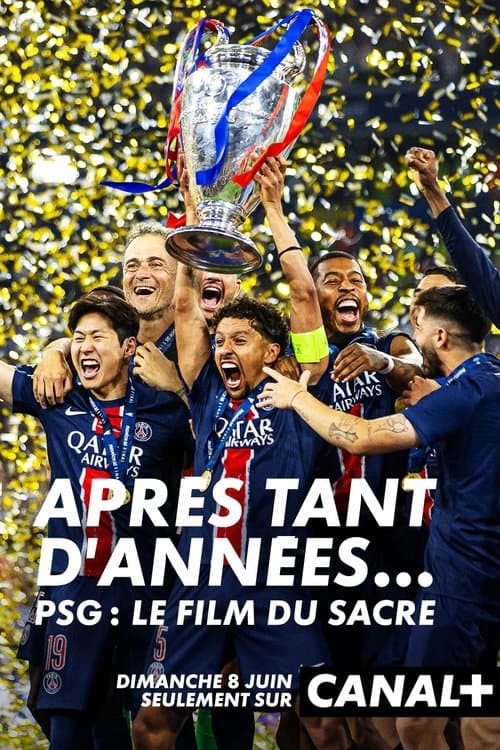 After So Many Years… poster