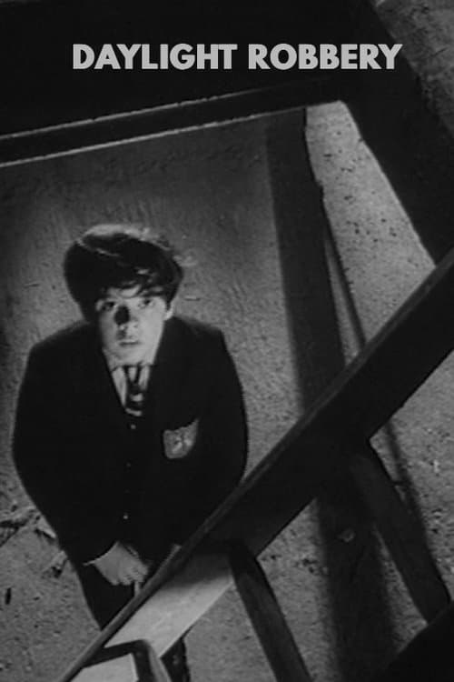 Daylight Robbery poster