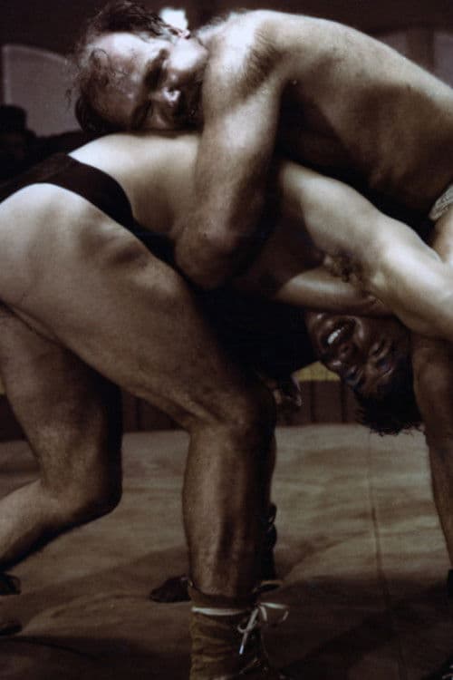 Żelazna obroża poster