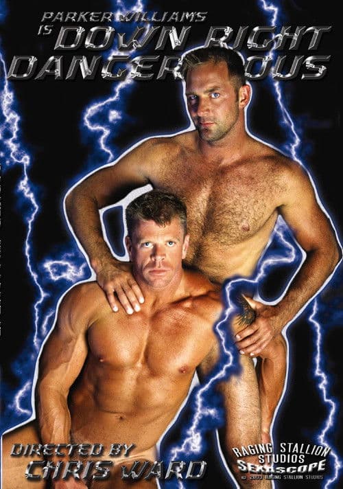 Down Right Dangerous poster