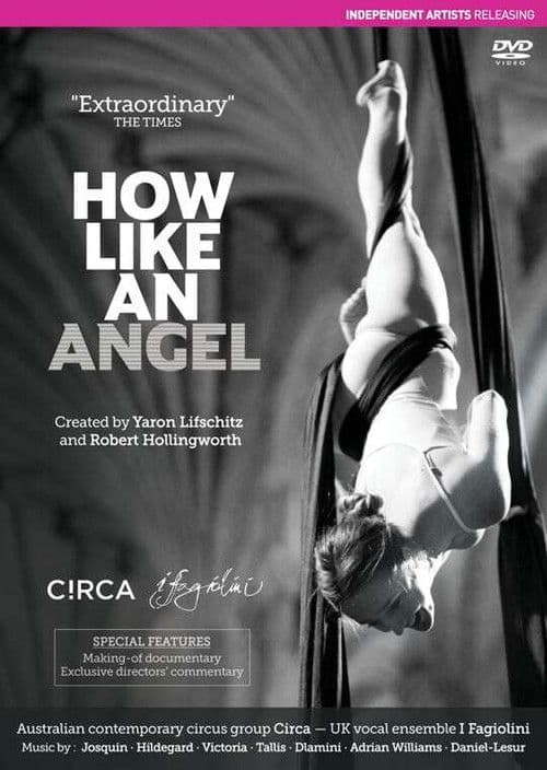 How Like An Angel poster