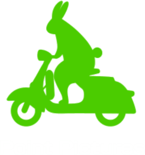 Point Pictures