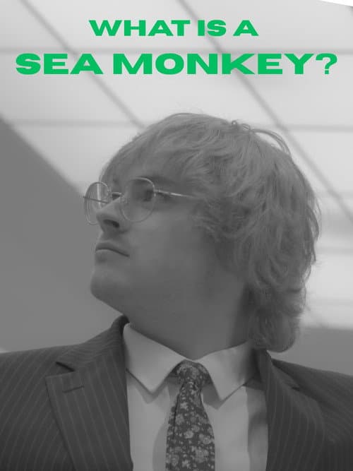 What Is A Sea Monkey? poster