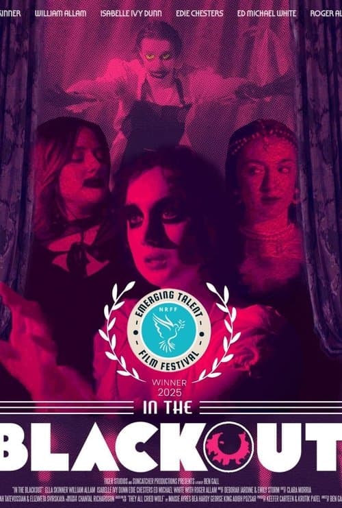 IN THE BLACKOUT poster