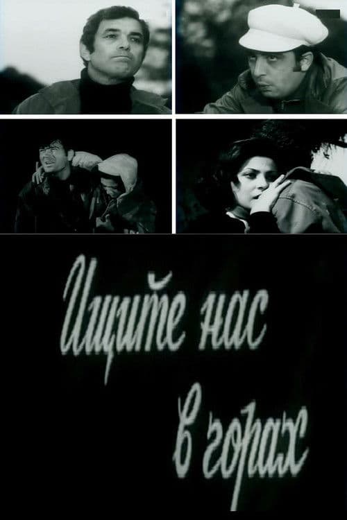 Find Us in the Mountains poster