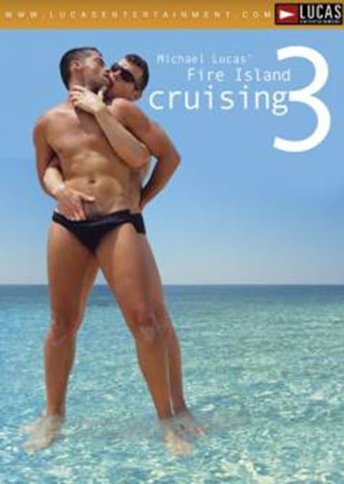 Fire Island Cruising 3 poster