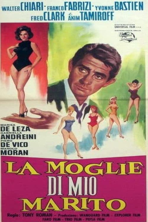 La moglie di mio marito poster