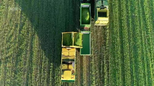 Abenteuer Ernte poster