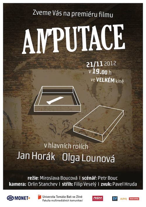 Amputace poster
