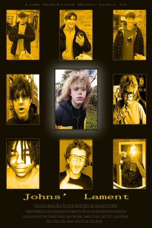 Johns' Lament poster