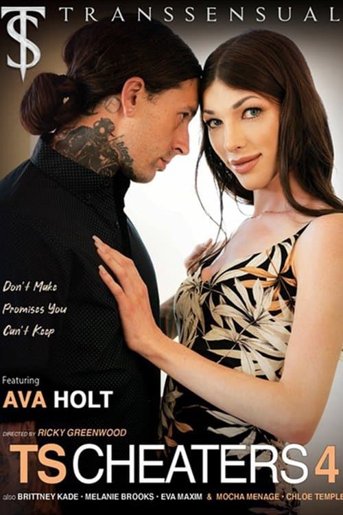 TS CHEATERS 4 poster