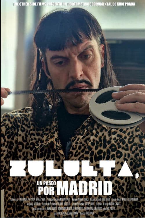 Zulueta, un paseo por Madrid poster