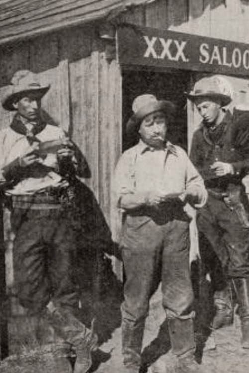 The Redemption of Rawhide poster