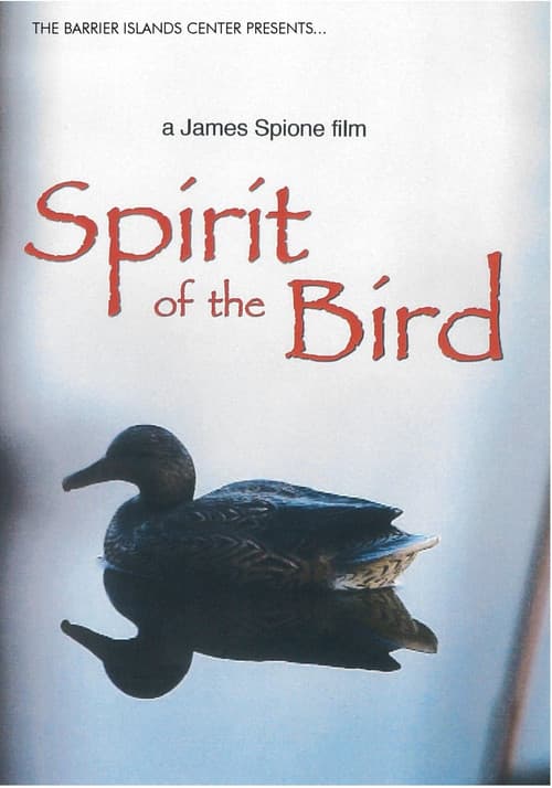 Spirit of the Bird poster