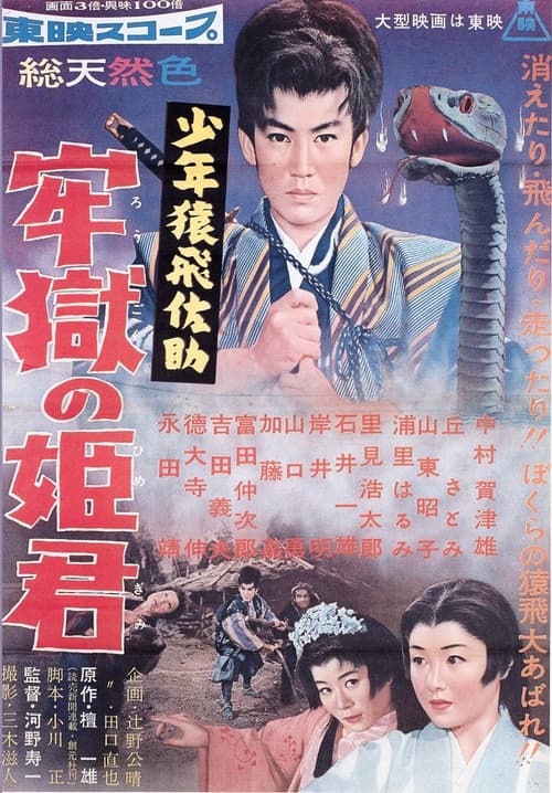 少年猿飛佐助 牢獄の姫君 poster