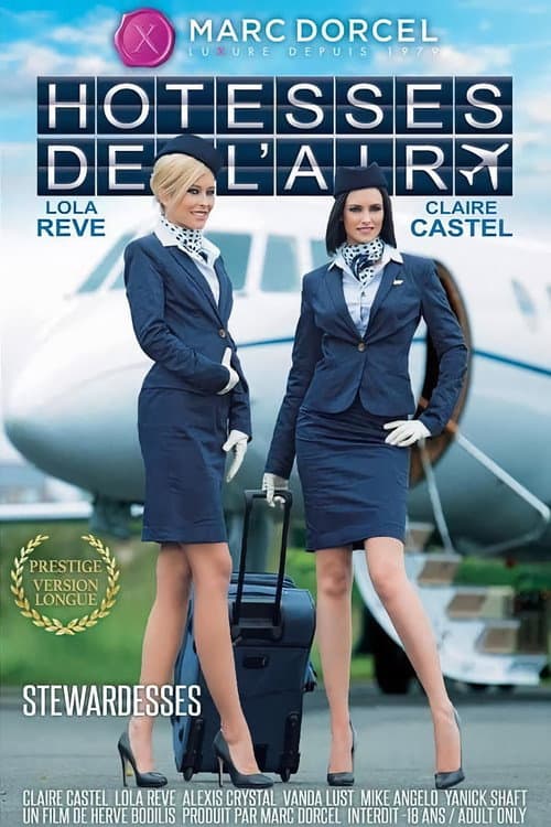 Stewardesses poster