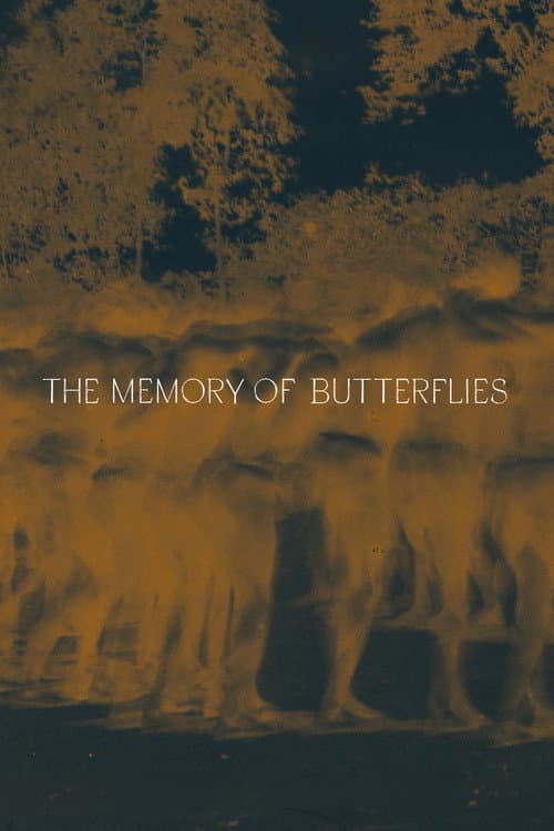 The Memory of Butterflies
