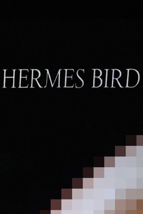 Hermes Bird poster