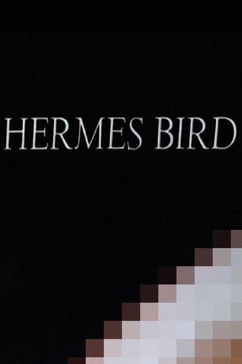 Hermes Bird poster
