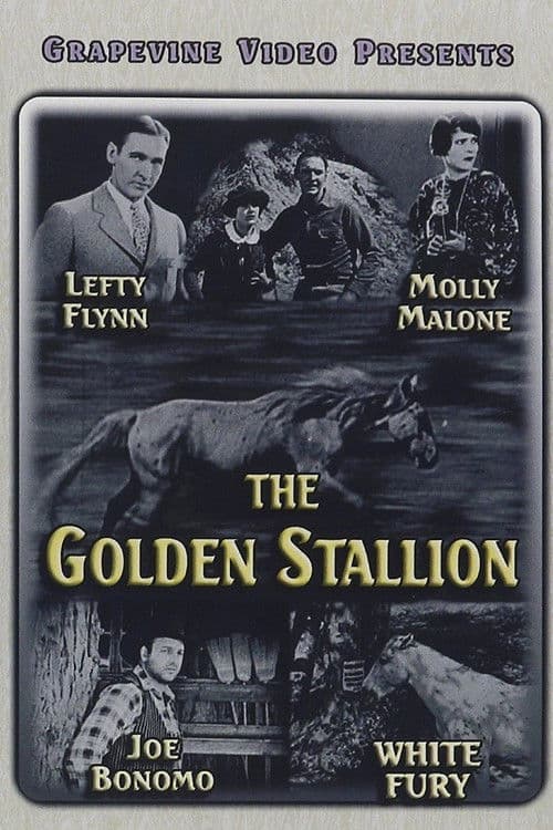 The Golden Stallion poster