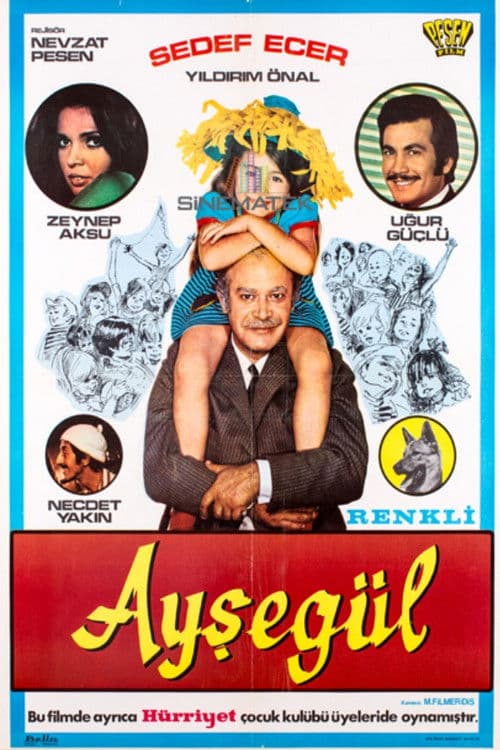 Ayşegül poster
