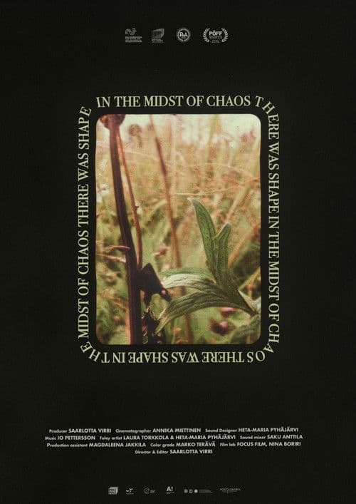 In the Midst of Chaos There Was Shape poster