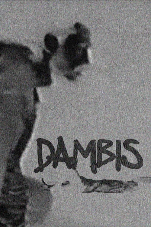 Dambis poster