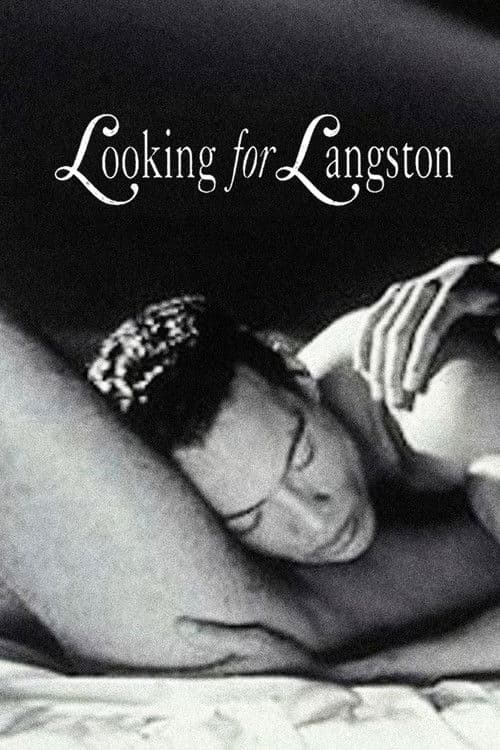 Looking for Langston poster